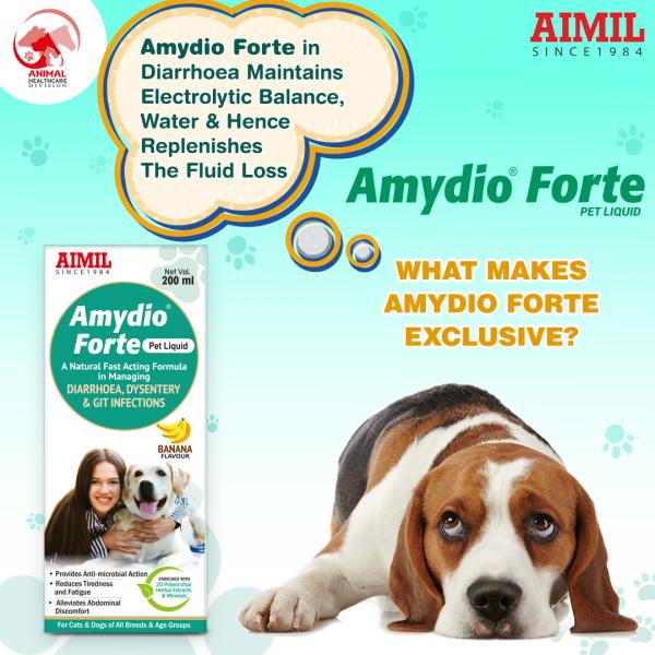 Amydio Forte PET Liquid 200 ml - Pet Healthcare