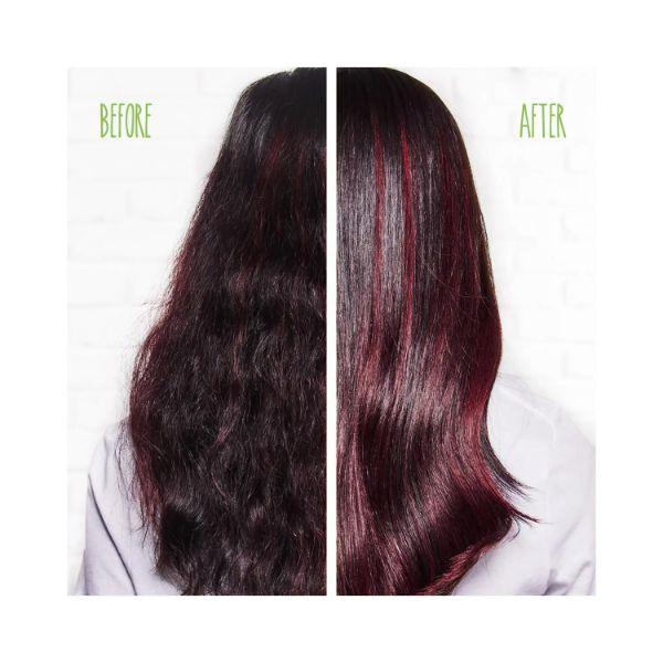 BIOLAGE Colorlast Conditioner 196 gm - Conditioners