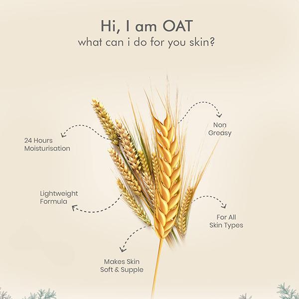 The Love Co. Oatmeal & Shea Body Lotion - Daily Skin Moisture for Men and Women - Intense Hydration for Dry Skin 250 ml - Creams/Oils/Lotions