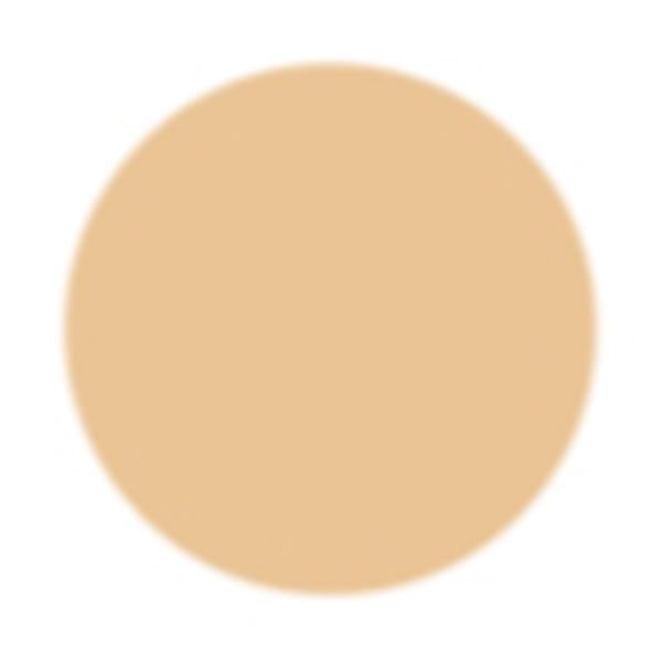 Pac Spotlight Liquid Concealer 02 Skin 15gm - Concealer