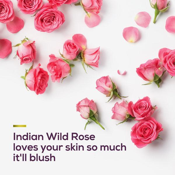 Santoor Blushing Skin Body Wash 230 ml - Shower Gels & Body Wash