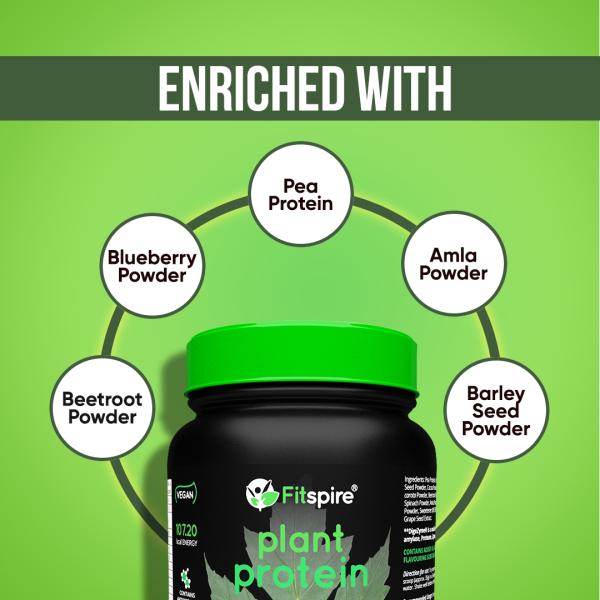 Fitspire 100 Percent Plant Protein Made With Pea Protein Chocolate 500 gm - Protein Drink