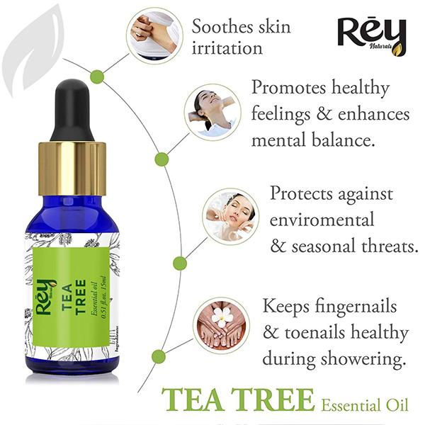 Rey Naturals Tea Tree and Lavender Essential Oil 15ml each 2's - Essential Oils