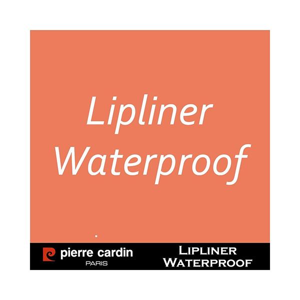 Pierre Cardin ParisLipliner Pencil Waterproof 395 Plummy 0.4 gm - Lip Liners