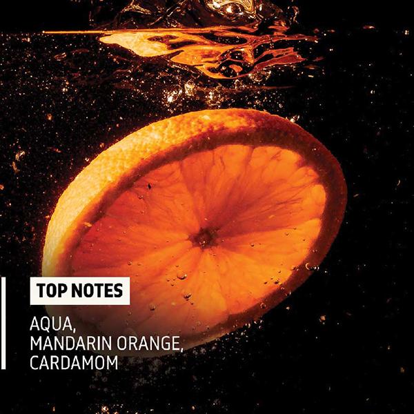 Phy Eau de toilette - Lounge - Mountain Rain 100 ml - Men Perfumes (Edt/Edp)