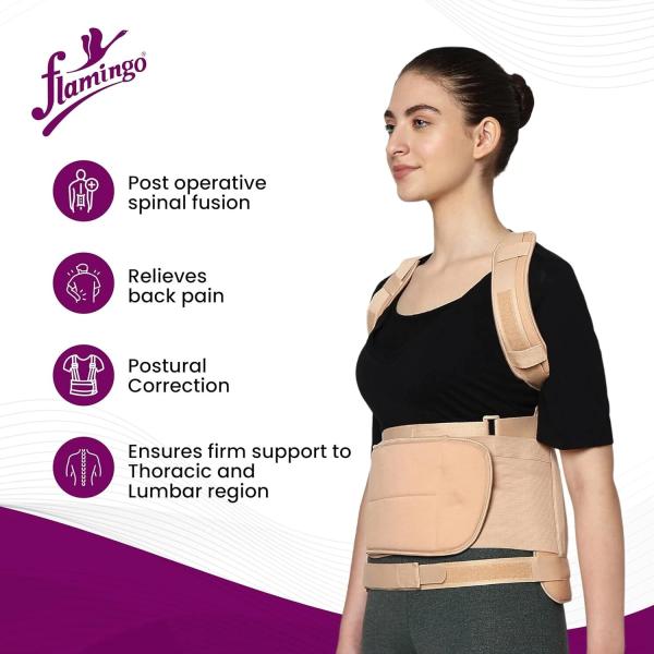 Flamingo Dorsolumbar Spinal Brace (Taylors Brace) (OC2034) (S) 1's - Back/Abdomen Supports