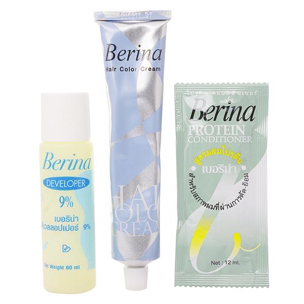 Berina A21 Light Grey Hair Color Cream 60 gm - Crème