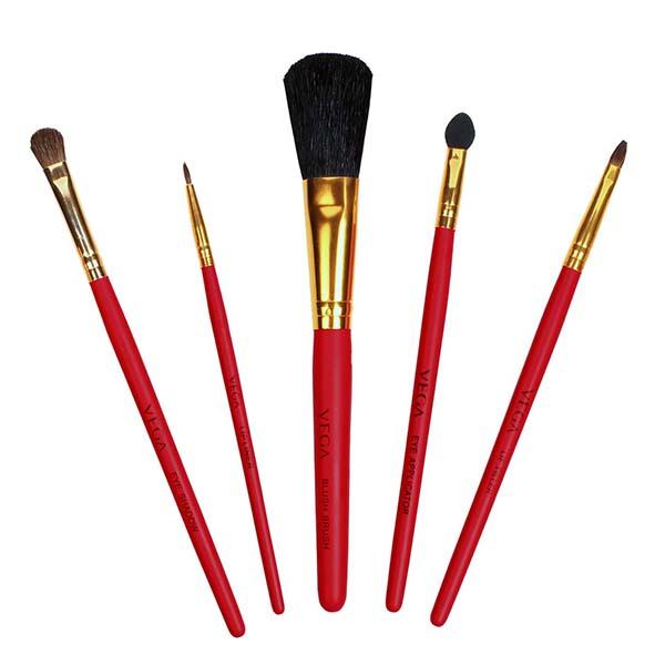 Vega Set Of 5 Brushes (RV - 05) 36 gm