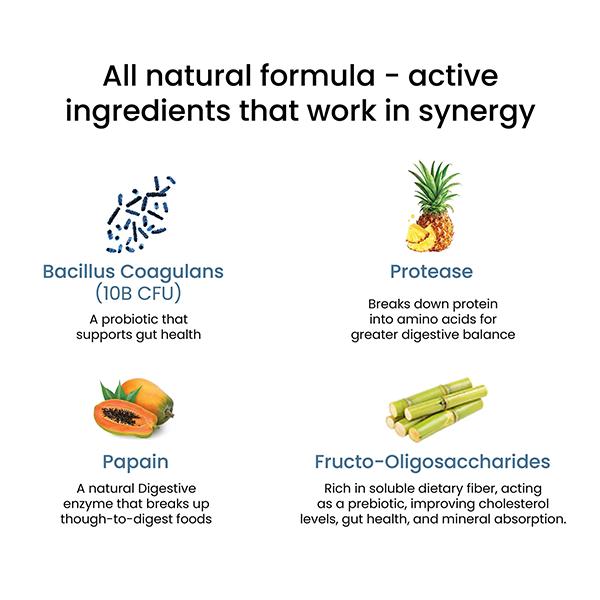 Wellbeing Nutrition Melts Healthy Gut Probiotic 10B CFU, Digestive Enzymes and FOS For Indigestion, Gas, Acidity 30 Strips - Digestive Health