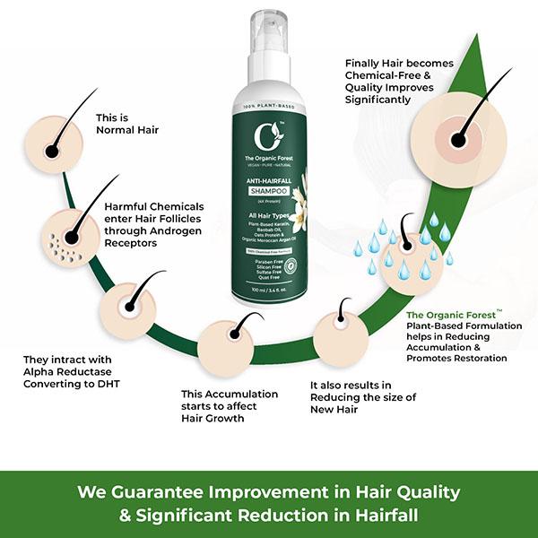 Organic Forest Hair Fall Control, Hair Thickening & Hair Growth Shampoo 100 ml - Shampoos