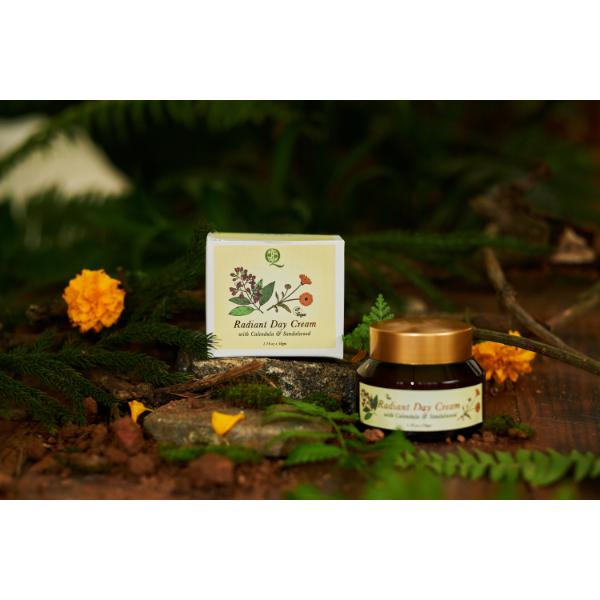 Qaadu Radiant Day Cream 50 g - Personal Care (Ayush)