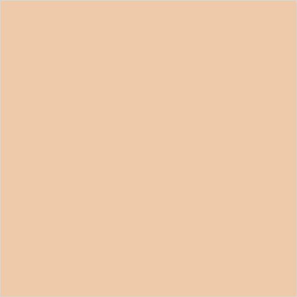 Colorbar 24Hrs Weightless Foundation Powder Pf005 9.5 Gm - Foundation