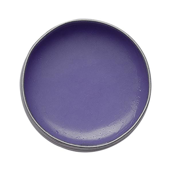 Alyuva Ghee Enriched Natural Blueberry Lip Balm, for all ages 7 gm - Lip Balms