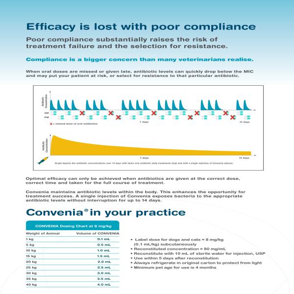 CONVENIA (VET) Injection 10ml - Veterinary-Pharma
