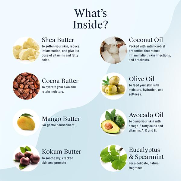 Arata Natural Moisturising Body Lotionfor Dry Skin with Shea Butter, Cocoa Butter & Coconut Oil 300 ml - Lotions & Creams