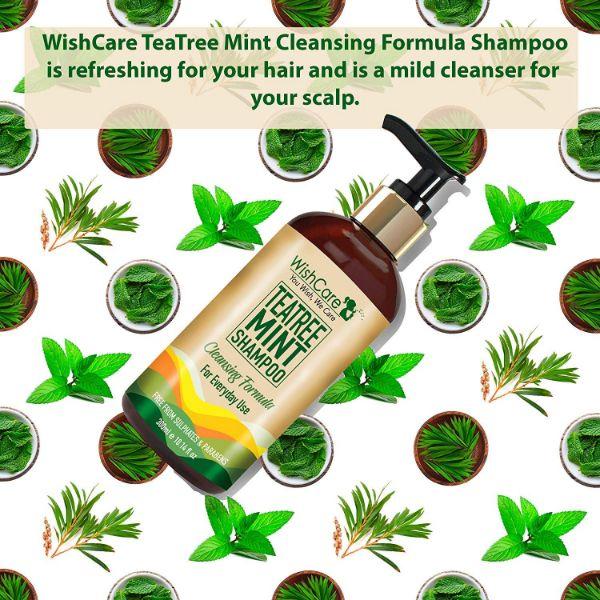 WishCare Tea Tree Mint Shampoo - Anti Dandruff Shampoo - Cleansing Formula 300 ml - Shampoos