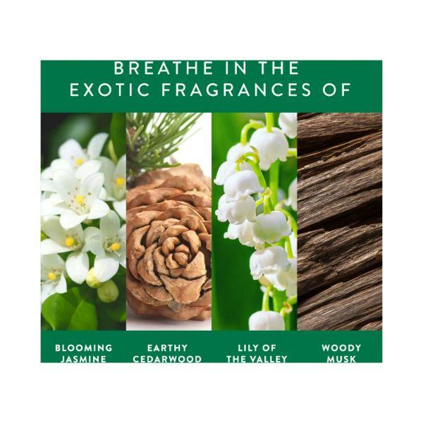 Find Your Happy Place After The Rain Body Scrub Jasmine & Cedarwood 250 gm - Scrubs & Exfoliants