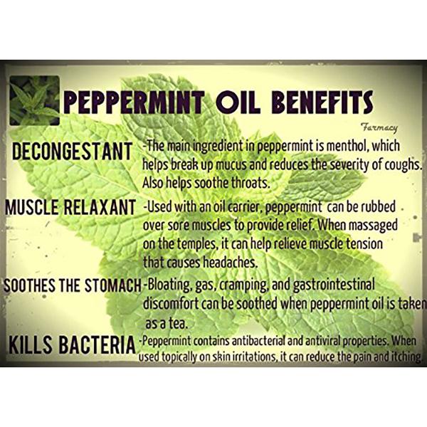 WishCare 100% Pure Peppermint Essential Oil 15 ml - Essential Oils