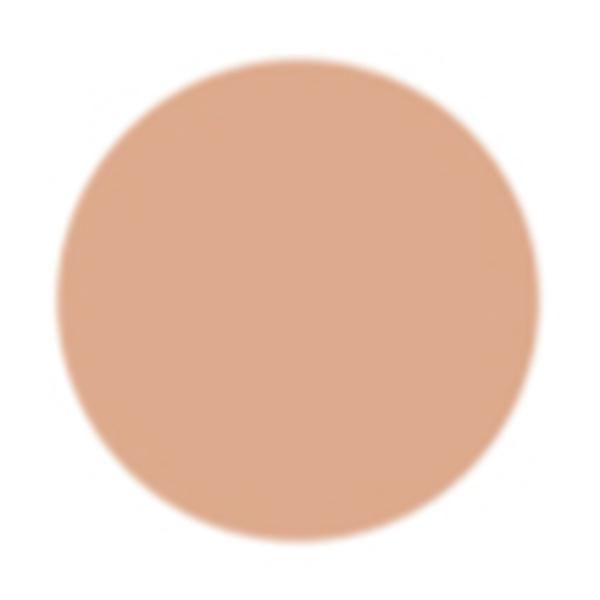 PAC Take Cover Concealer 11 Birthday Suit 6.8 gm - Concealer