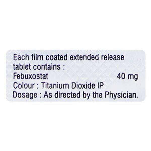 FEBUDIM ER 40 Tablet 10's - Gout