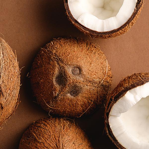 Petal Fresh Smoothing Coconut Body Scrub 473 ml - Scrubs & Exfoliants