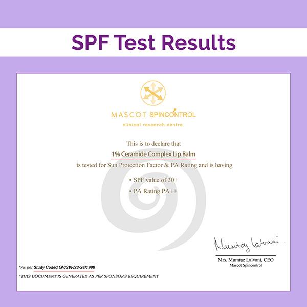 The Derma Co. 1% Ceramide Complex Lip Balm with Ceramides and Vitamin E for Dry and Chapped Lips 4 gm - Lip Balms