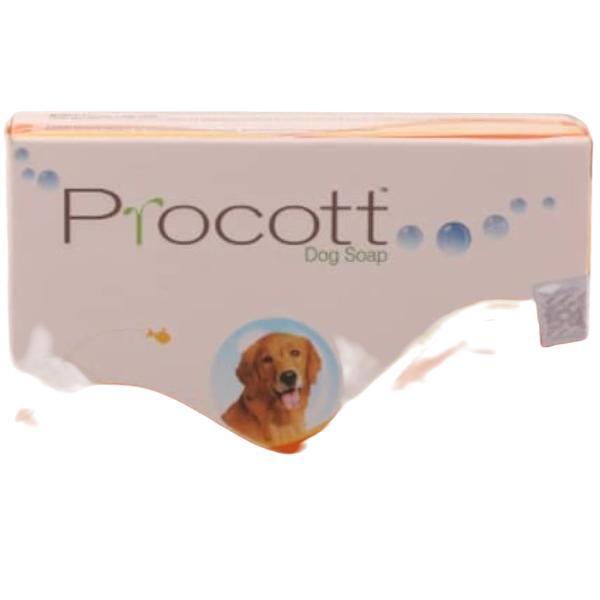 Netmeds | Intas Procott Soap 75 gm