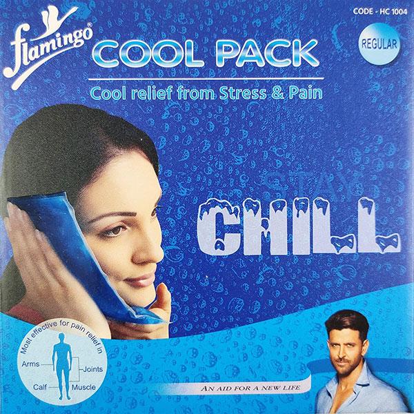 Netmeds | Flamingo Cool Ice Pack - (HC - 1004) Regular