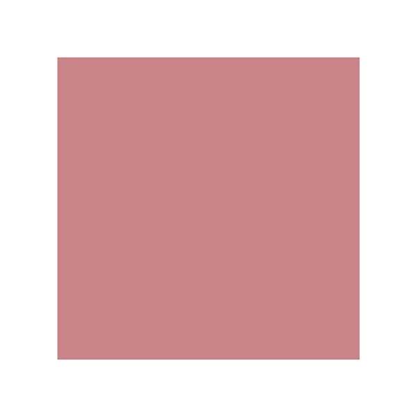 Aravi Organic Long Lasting Ultra Smooth Matte Liquid Lipstick - Well Dressed 1.5 ml - Liquid Lipsticks