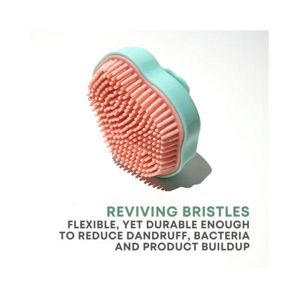 Alan Truman Super-Soft Shampoo & Scalp Massage Brush - Green/Pink 1's - Hair Brushes