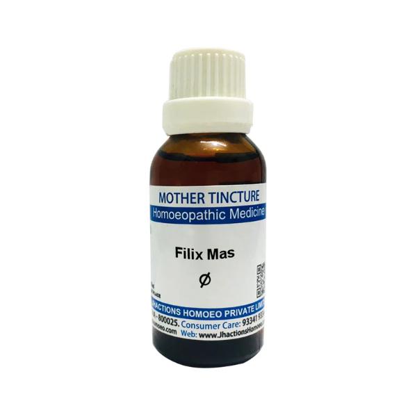 SBL Filix Mas Q Liquid 30 ml - Mother Tincture