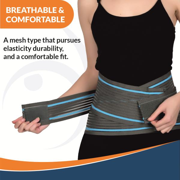 AccuSure Lumbo Support Belt (L) 1's - Knee/Leg Supports