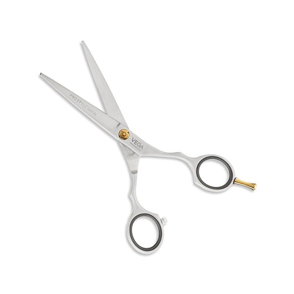 Netmeds | Vega Professional Pro Style Satin 5' Silver Line Hairdressing Scissor (VPMSC-09) 1's