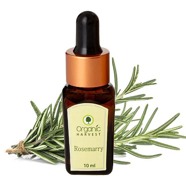 Organic Harvest Essential Oil - Rosemary 10 ml - Essential Oils