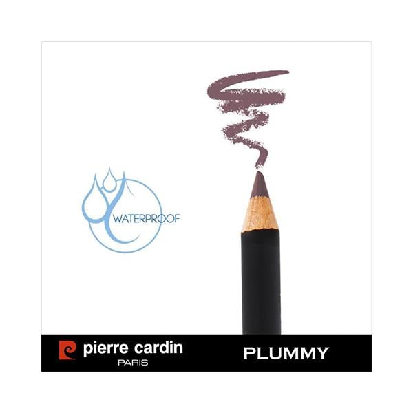 Pierre Cardin ParisLipliner Pencil Waterproof 395 Plummy 0.4 gm - Lip Liners