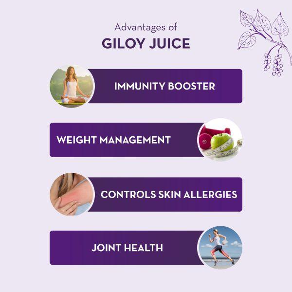 Baidyanath Giloy Juice 1000 ml - Ayurvedic Juices