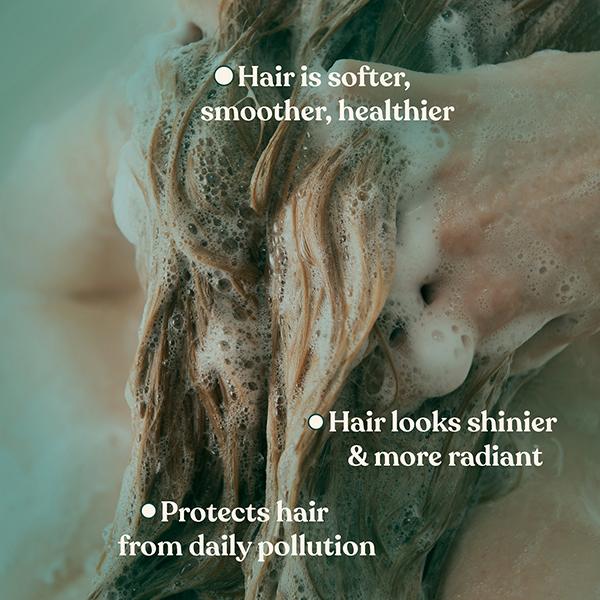 THE BODY SHOP SHAMPOO MORINGA A0X 250 ml - Shampoos