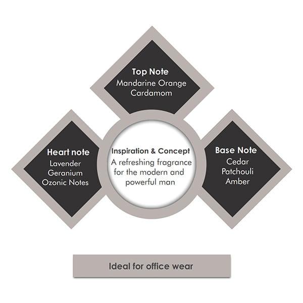 Porsche Design Palladium Eau de Toilette 100 ml - Perfumes (Edt/Edp)