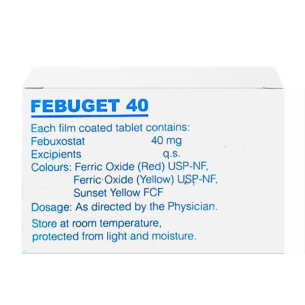 FEBUGET 40 Tablet 15's - Gout