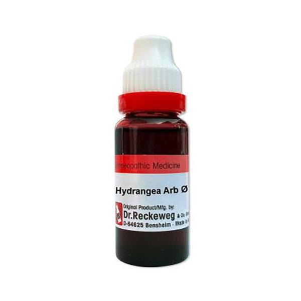 Dr. Reckeweg Hydrangea Ø Liquid 20 ml - Mother Tincture