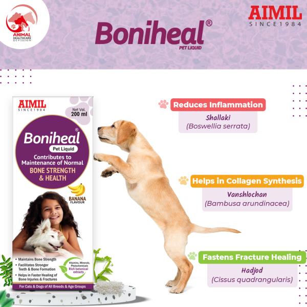AIMIL Boniheal PET Liquid 200 ml - Pet Healthcare