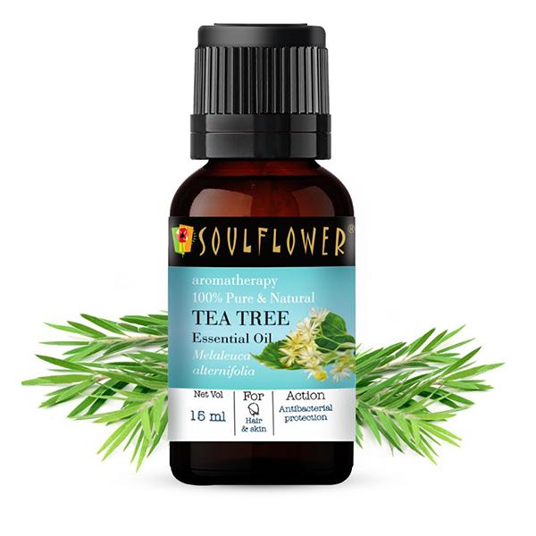 Netmeds | Soulflower TeaTree Essential Oil 15 ml