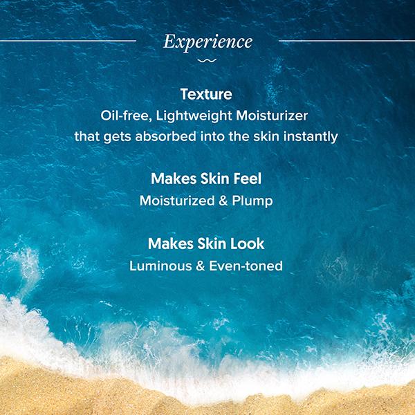 Aqualogica Illuminate + Oil-Free Moisturizer With Wild Berries And Alpha Arbutin 100 gm - Face Moisturizers