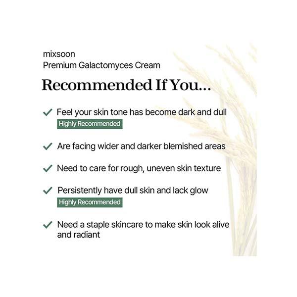 Mixsoon Premium Galactomyces Cream 50 ml - Face Moisturizers