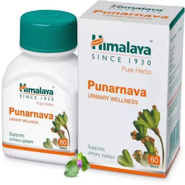 Netmeds | Himalaya Wellness Punarnava Tablet 60's