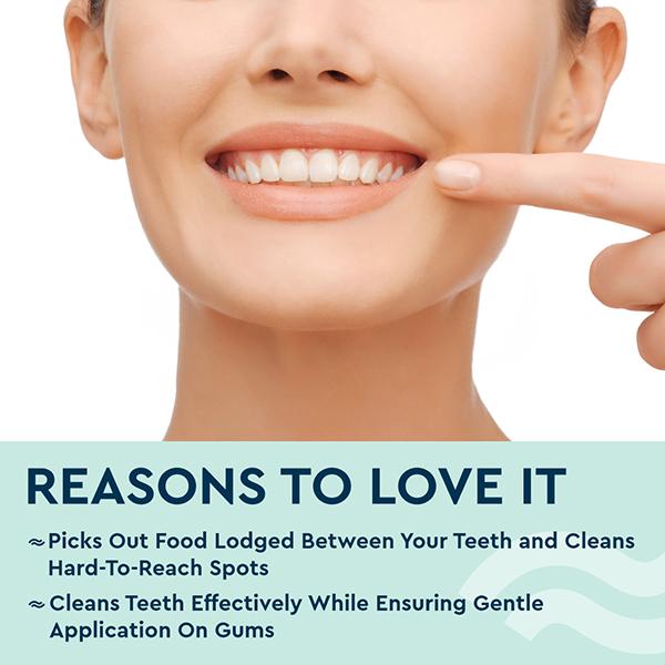 Gubb 2 In 1 Tooth Pick 50S 49 gm - Floss & Tongue Cleaners