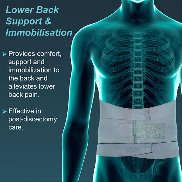 Tynor Oac Lumbo Sacral Belt (XL) (L 02) - Back/Abdomen Supports