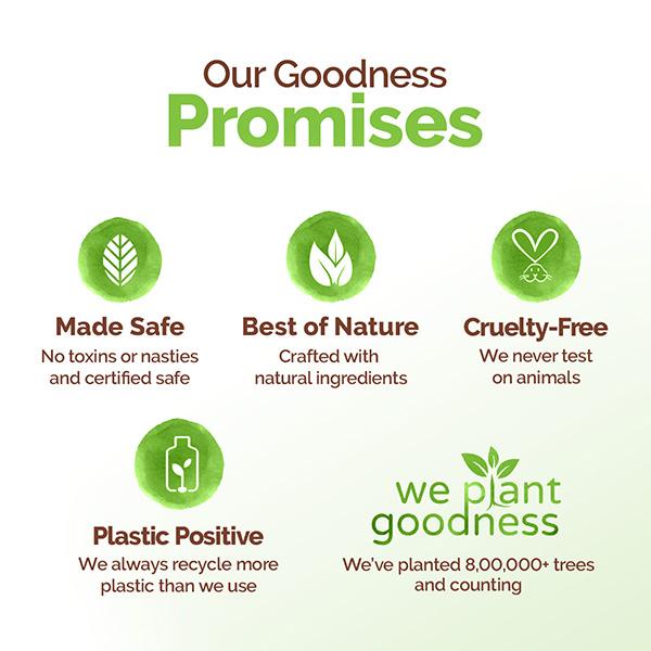 Mamaearth Tea Tree Oil Control Face Pack with Tea Tree & Salicylic Acid Normal to Oily Skin 200 gm - Face Packs