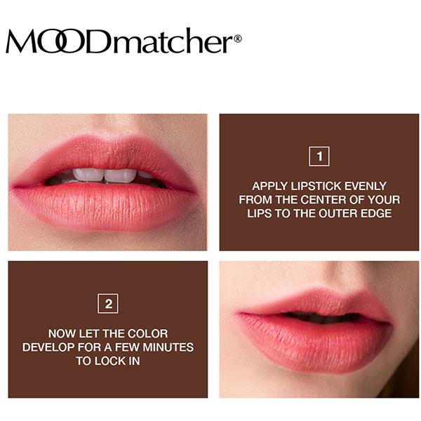 Fran Wilson Moodmatcher Brown 3.5 gm - Lipsticks