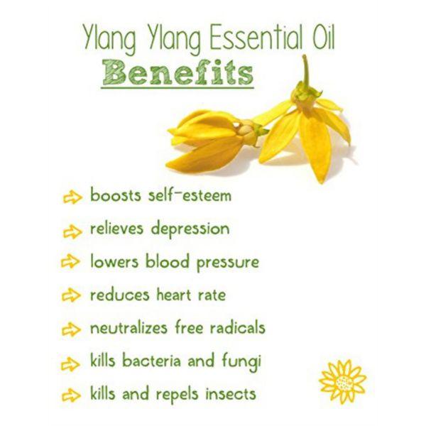 WishCare 100% Pure Ylang Ylang Essential Oil 15 ml - Essential Oils